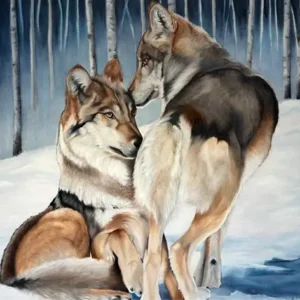 Mexican Grey Wolves — Get Up