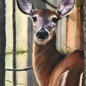 Whitetail — Silence in the Ferns